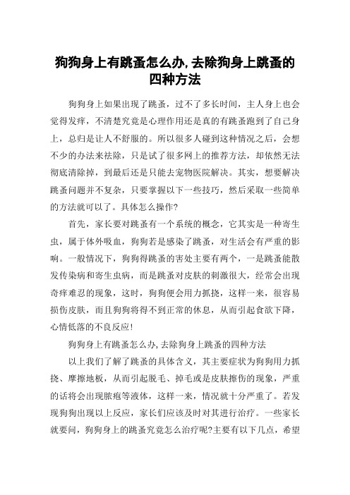 狗狗身上有跳蚤怎么办,去除狗身上跳蚤的四种方法