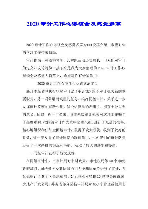 2020审计工作心得体会及感受多篇
