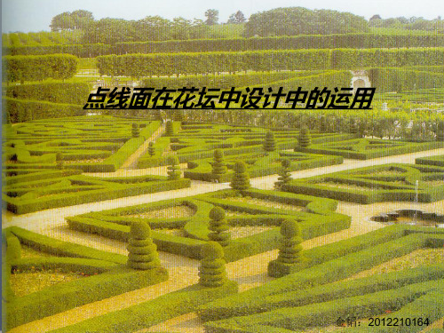 点线面在花坛设计中的运用