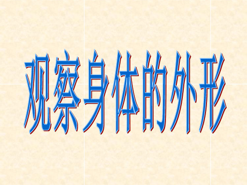 教科版四年级上册科学《身体的结构》课件