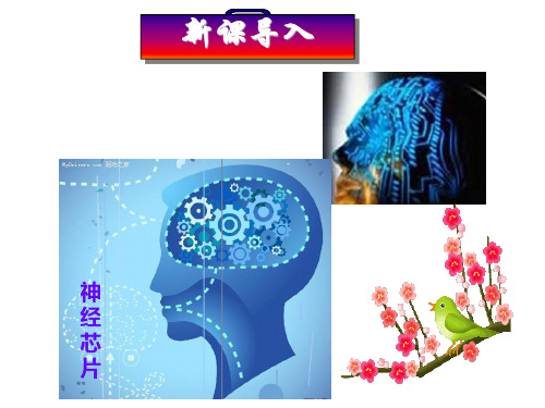 人教版高中生物选修三1.4蛋白质工程的崛起课件 (共39张PPT)
