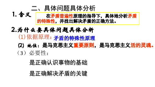 具体问题具体分析
