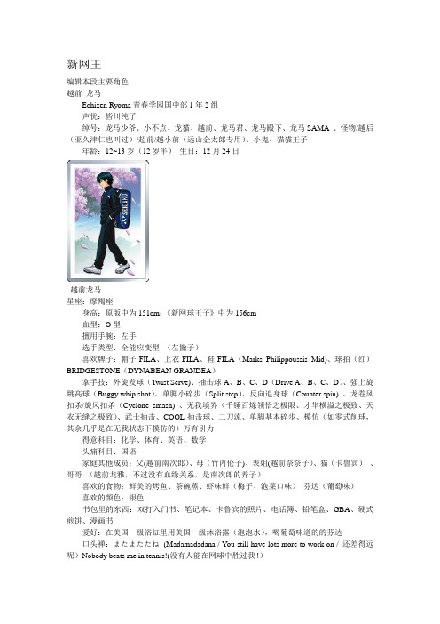 新网王