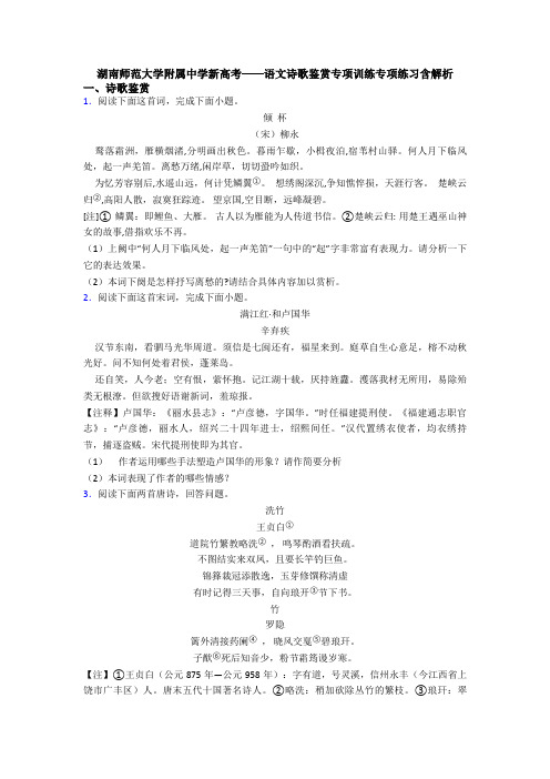 湖南师范大学附属中学新高考——语文诗歌鉴赏专项训练专项练习含解析