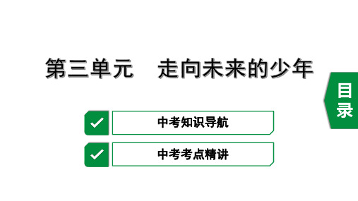 复习课件：复习课件： 部编版 道德与法治 九年级 下册  第三单元 走向未来的少年