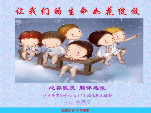 来自心灵的关怀