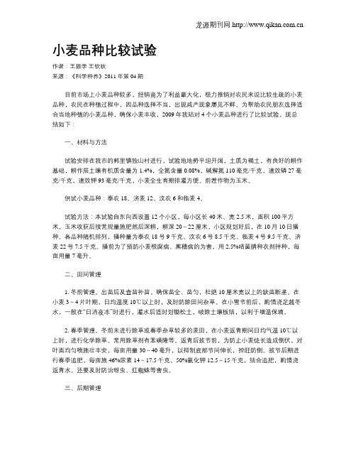 小麦品种比较试验