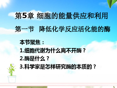 高中生物第一轮复习-酶的作用和本质