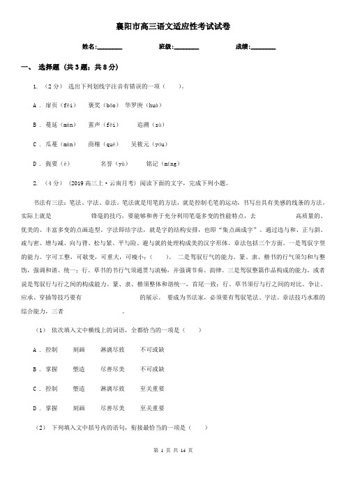 襄阳市高三语文适应性考试试卷