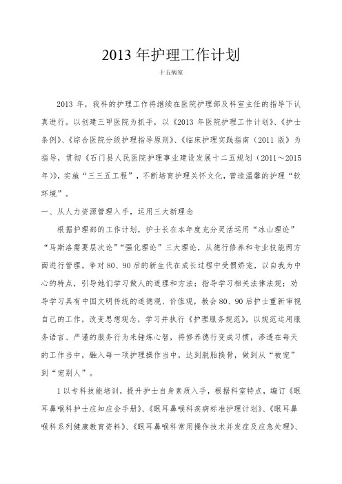 2013年护理工作计划 科室