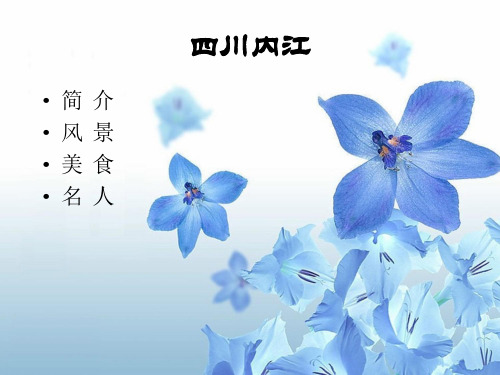 四川内江 介绍 PPT