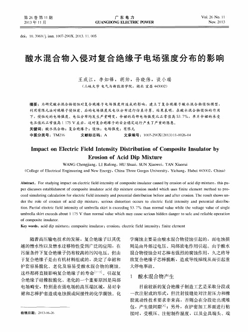 酸水混合物入侵对复合绝缘子电场强度分布的影响