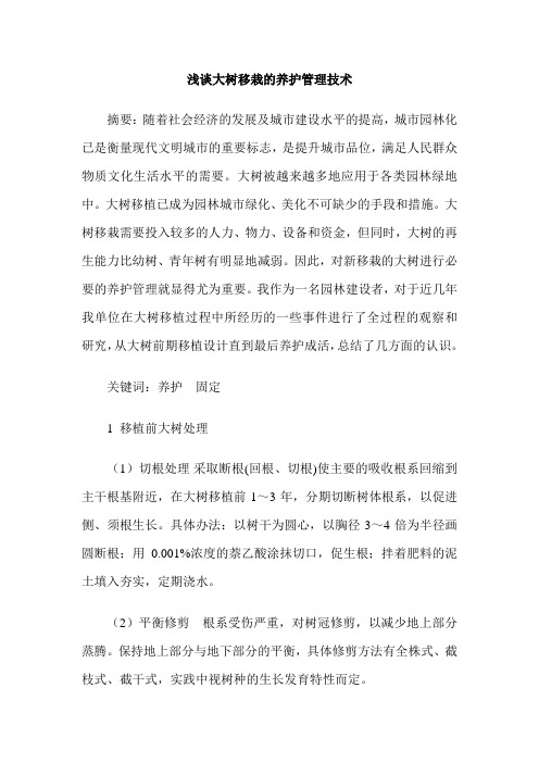 浅谈大树移栽的养护管理技术