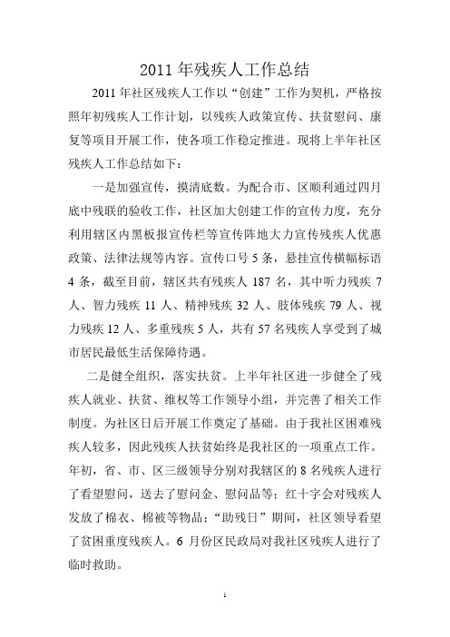 残疾人工作总结