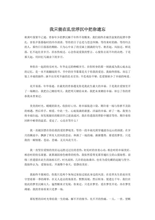 我只能在乱世浮沉中把你遗忘
