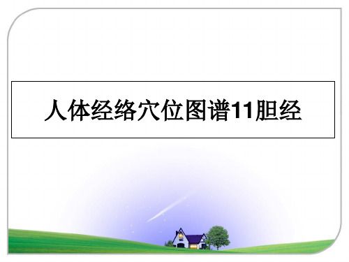 最新人体经络穴位图谱11胆经幻灯片