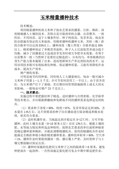 玉米精量播种技术
