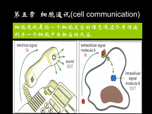 细胞通讯