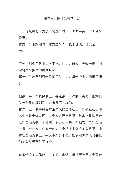 知青告诉你什么叫做工分