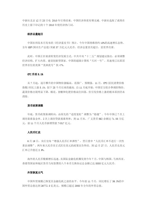 2010十大经济热门词