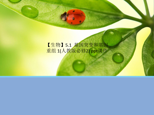 【生物】5.1  基因突变和基因重组 1(人教版必修2) ppt课件