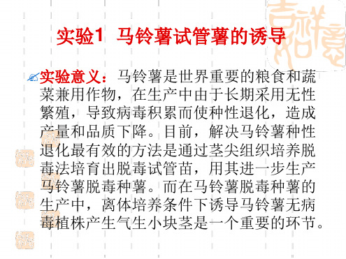 实验1 1MS培养基母液和常用试剂的配制