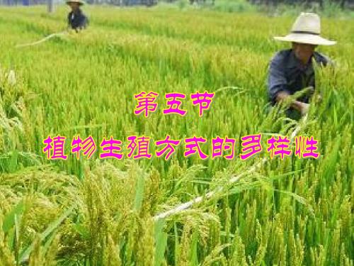 1.5 植物生殖方式的多样性(2课时)