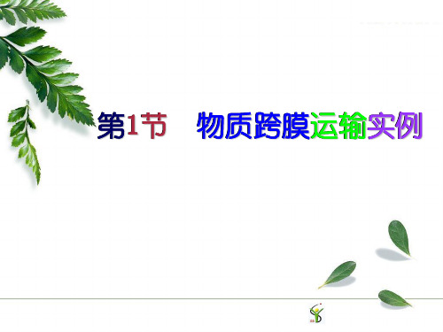 高中生物人教版必修一物质跨膜运输的实例