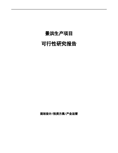 景洪项目可行性研究报告
