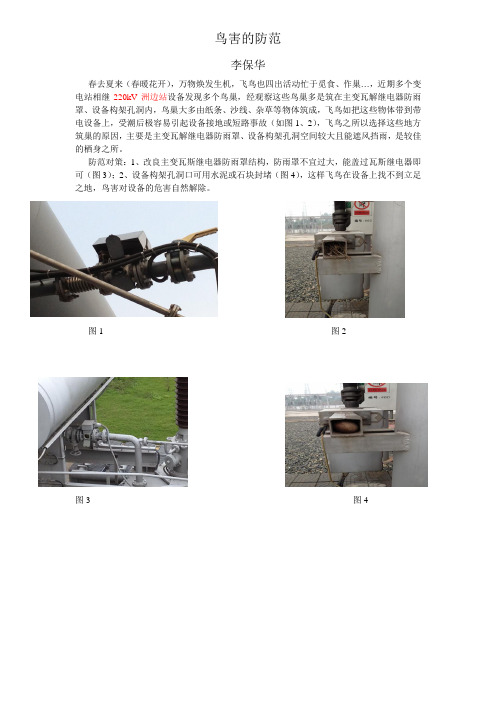 变电站鸟害的防范