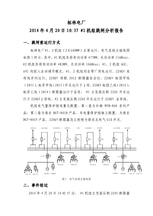 柘林电厂1机组跳闸分析报告2014-06-05