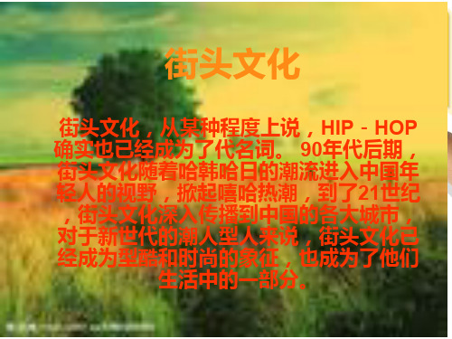 街舞—街头文化的一朵奇葩-28页精选文档