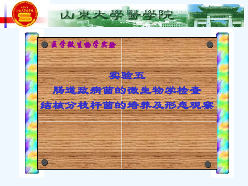 肠道致病菌的微生物学检查