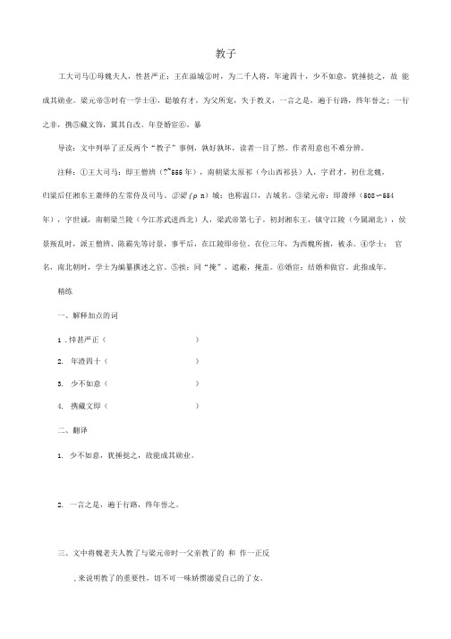 备战中考中考语文 课外文言文专练 教子.doc