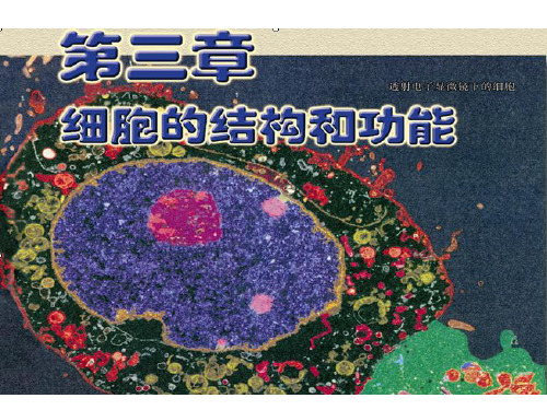 生物必修一苏教版 第二节 细胞的类型和结构(共49张PPT)
