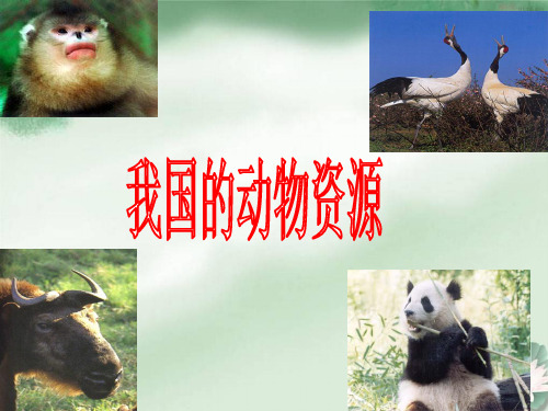 我国的动物资源