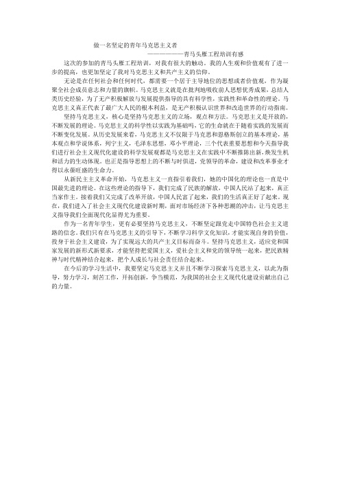 做一名坚定的青年马克思主义者