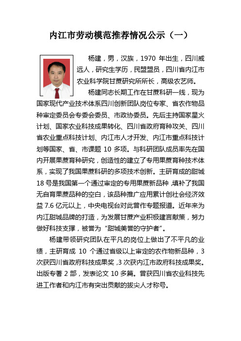 内江市劳动模范推荐情况公示(一)