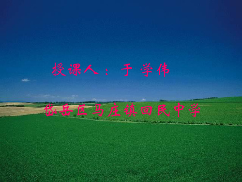 七年级历史人教版上册第四单元复习课件