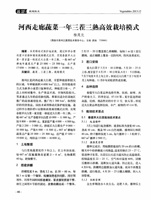 河西走廊蔬菜一年三茬三熟高效栽培模式