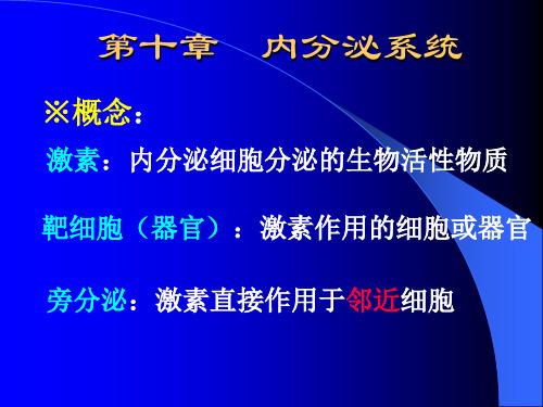 11  内分泌系统