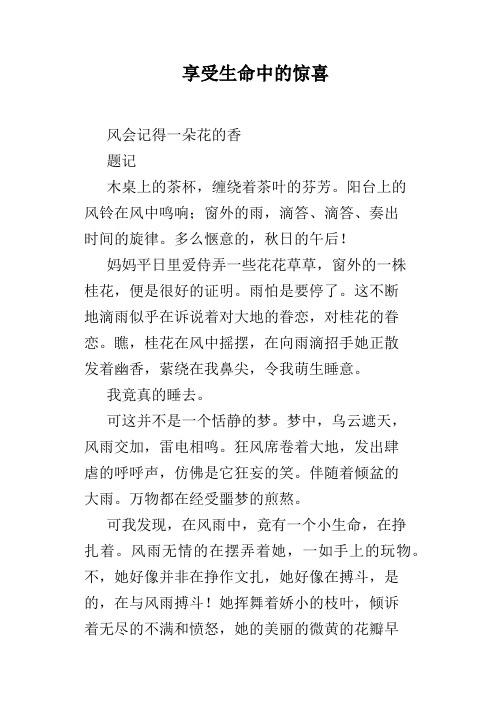 享受生命中的惊喜