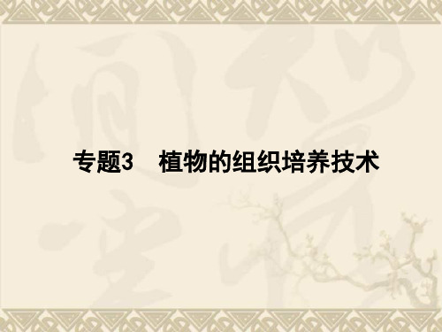 【名师导学】高考生物一轮复习 3.69 菊花的组织培养课件 新人教版选修1