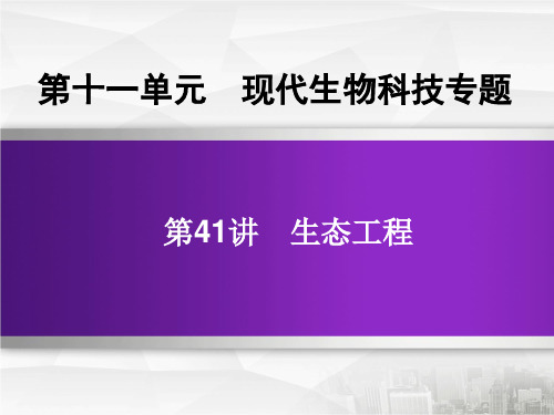 高三生物第一轮复习课件：第十一单元现代生物科技专题 第41讲 生态工程