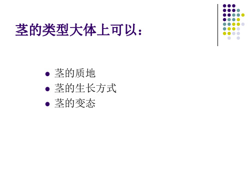 各种各样的茎