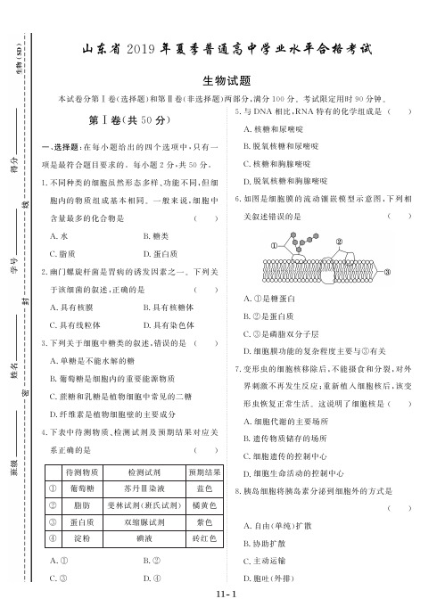 山东省2019年合格考试
