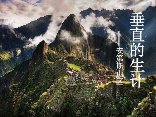 垂直的生计