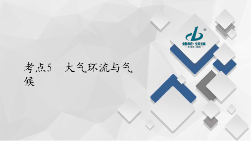新高考鲁琼专版高三地理考点高效演练  考点5