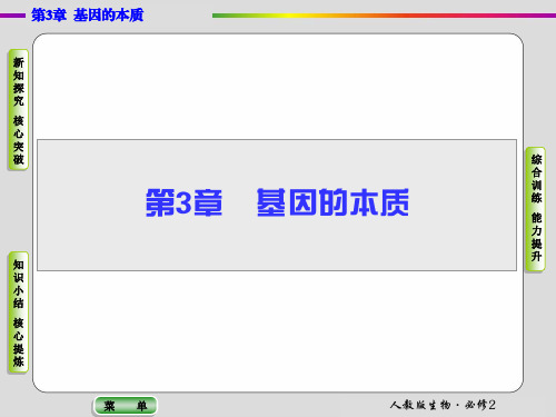 高中生物 基因的本质