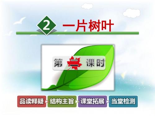 二年级语文下册(北师大版)4.2《一片树叶》(第2课时)公开课课件